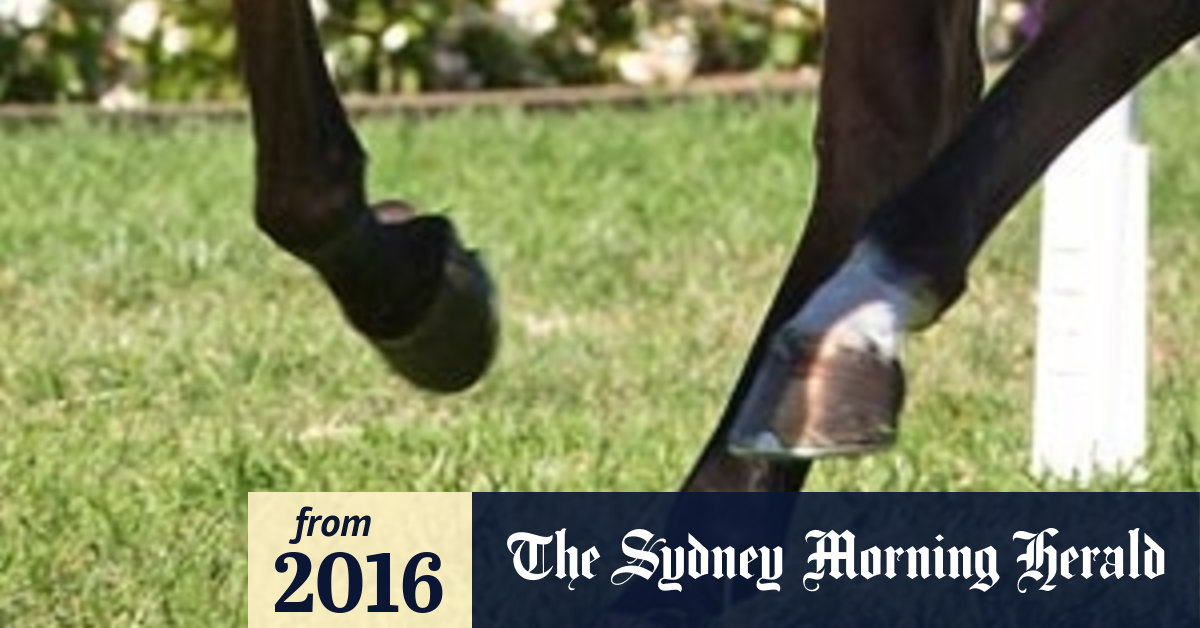 Queensland girl, 6, kicked in head by horse